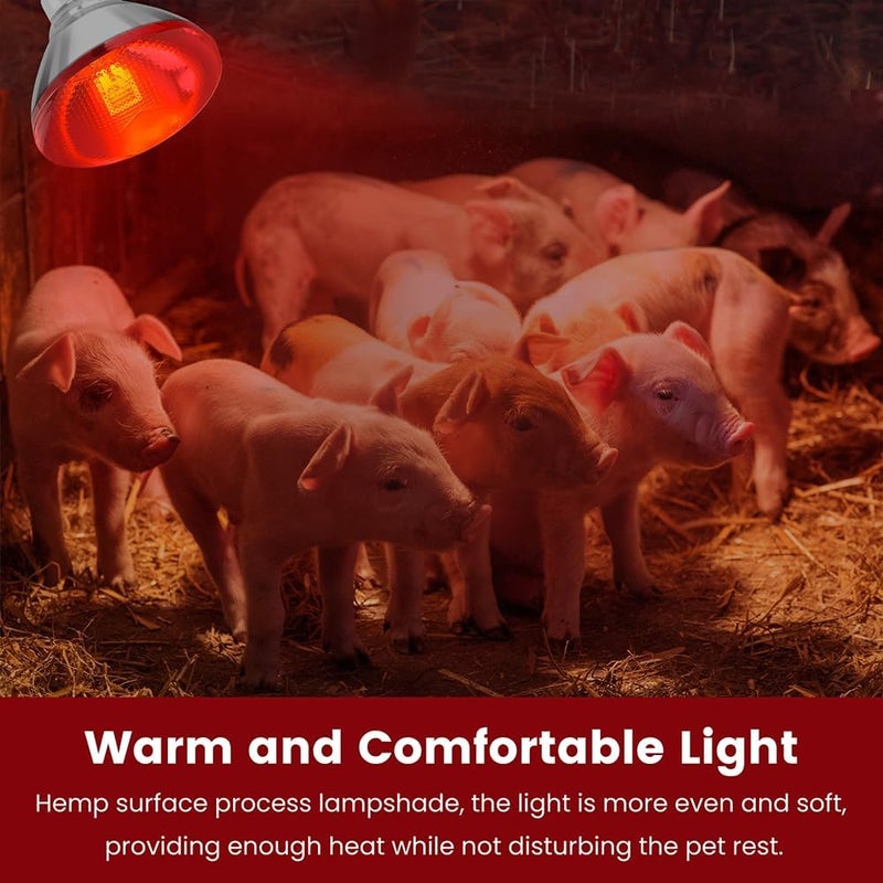 DATOO Infrared Heat Lamp Bulb for Chickens Red Heat Lamp Flood Light Heat Lamp Bulb 150 W Heating Bulbs for Brooder Coops Pets Chicks Reptiles Food Service (2 Pack) - Image 4